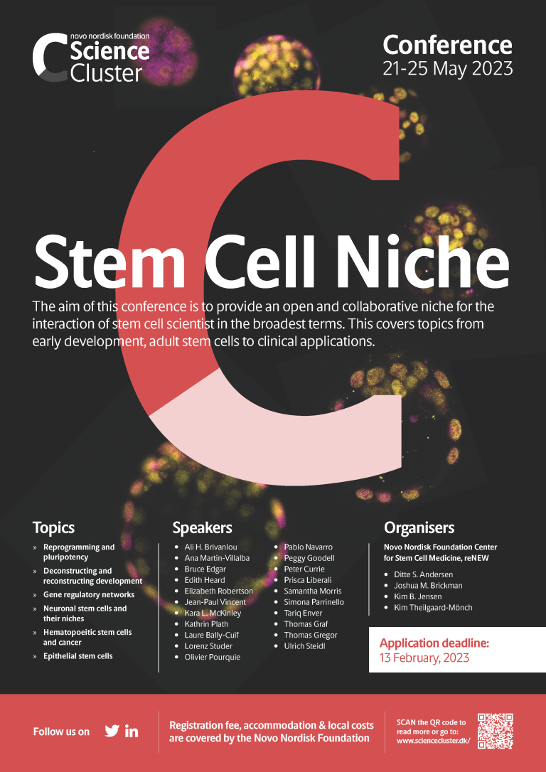 Conference Stem Cell Niche Science Cluster
